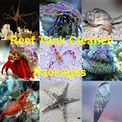 Reef Cleaner Packages for Saltwater Fish Tanks Reef Cleaner Packages for Saltwater Fish Tanks