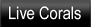Live Corals live corals