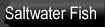 Saltwater Fish saltwater fish